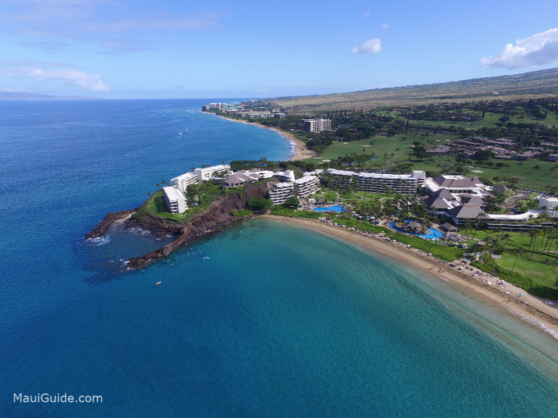 Maui’s Most Common Questions Answered - Maui Information Guide