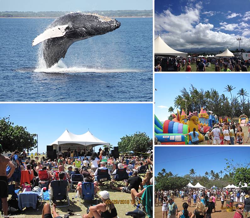 Maui Events Whale Day