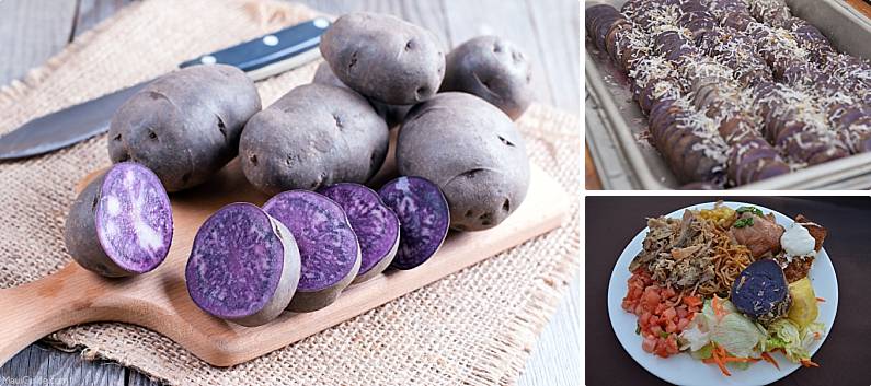 Polynesian Introduced Flora Purple Potatoes