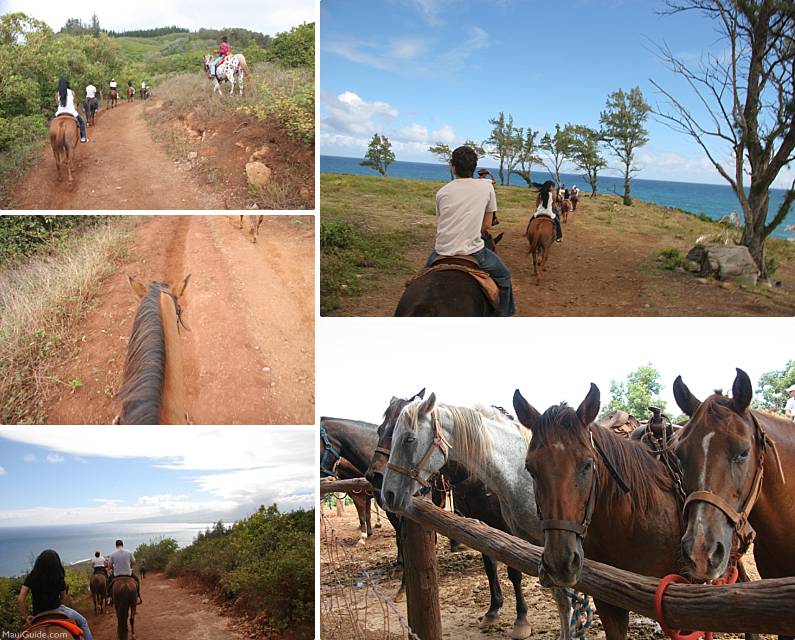 Maui Adventure Activities Horseback Rides