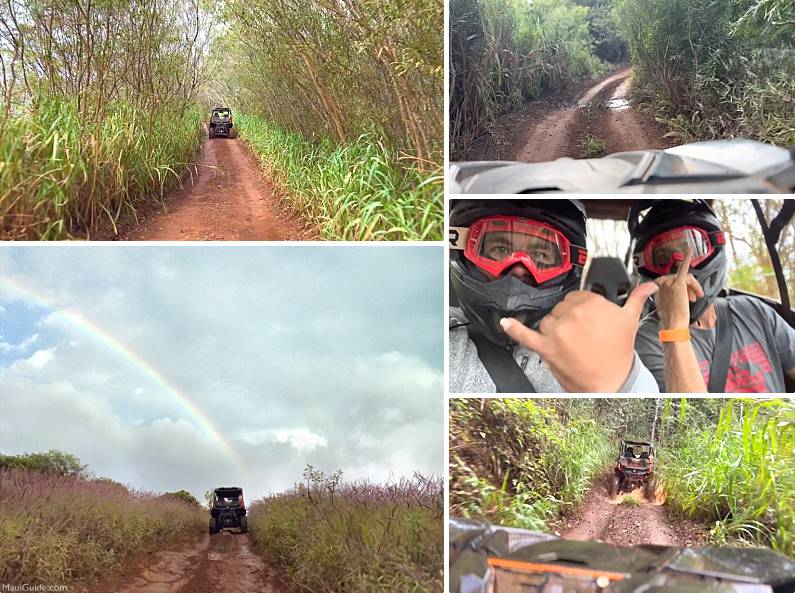 Maui Adventure Activities Off-Road