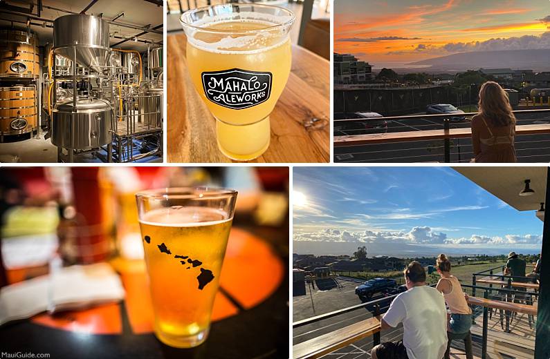 Phoenix To Maui Craft Beer